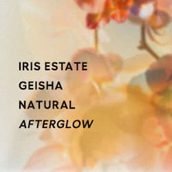 Afterglow - Natural