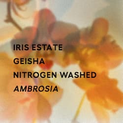 Ambrosia - Nitrogen Washed