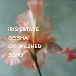 Echo - CM Washed