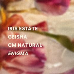 Enigma - CM Natural