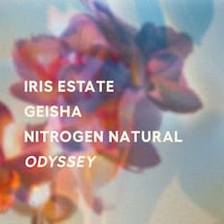 Odyssey - Nitrogen Natural