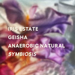Symbiosis - Anaerobic Natural