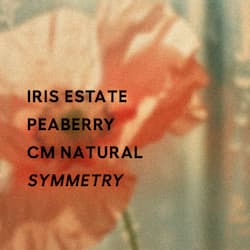 Symmetry - CM Natural (peaberry)
