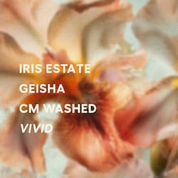 Vivid - CM Washed