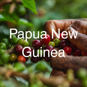 Papua New Guinea specialty green coffee