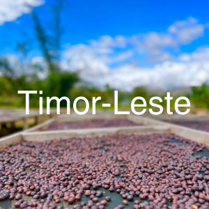 Timor-Leste specialty green coffee