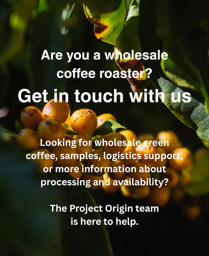 Coffee cherries growing on branch with overlay text calling to wholesale coffee roasters looking for green beans worldwide